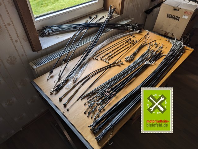 PXL_20240507_145640252.MP